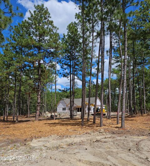 Single Family Residence in West End NC 100 Lighterknot Lane 4.jpg