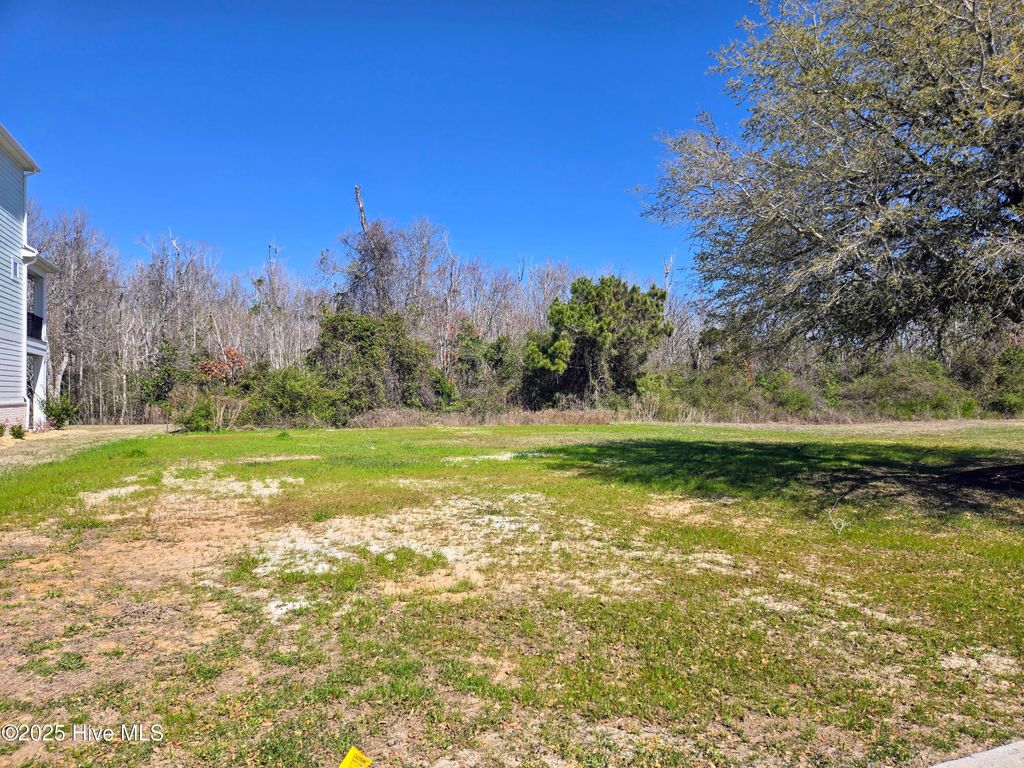 Photo of 216 Colleton Square, Newport, NC 28570 (MLS # 100497231)