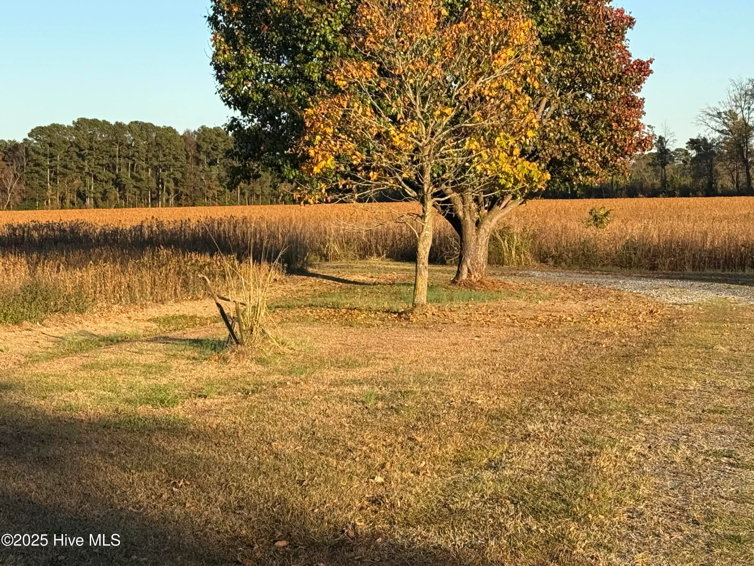 Goldsboro, North Carolina 27534, United States, ,Land,Active,246383