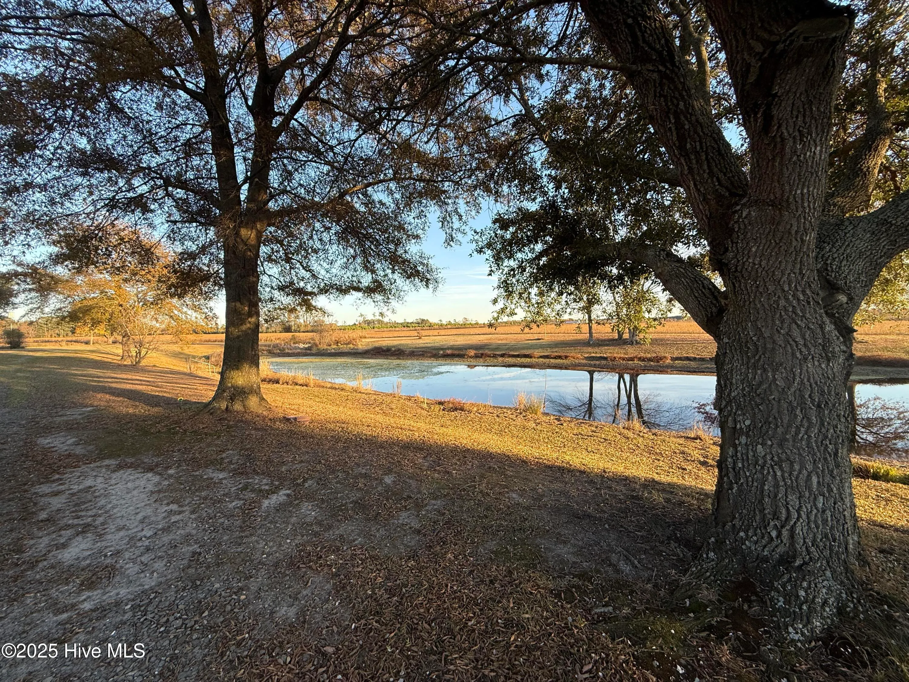 Goldsboro, North Carolina 27534, United States, ,Land,Active,246383