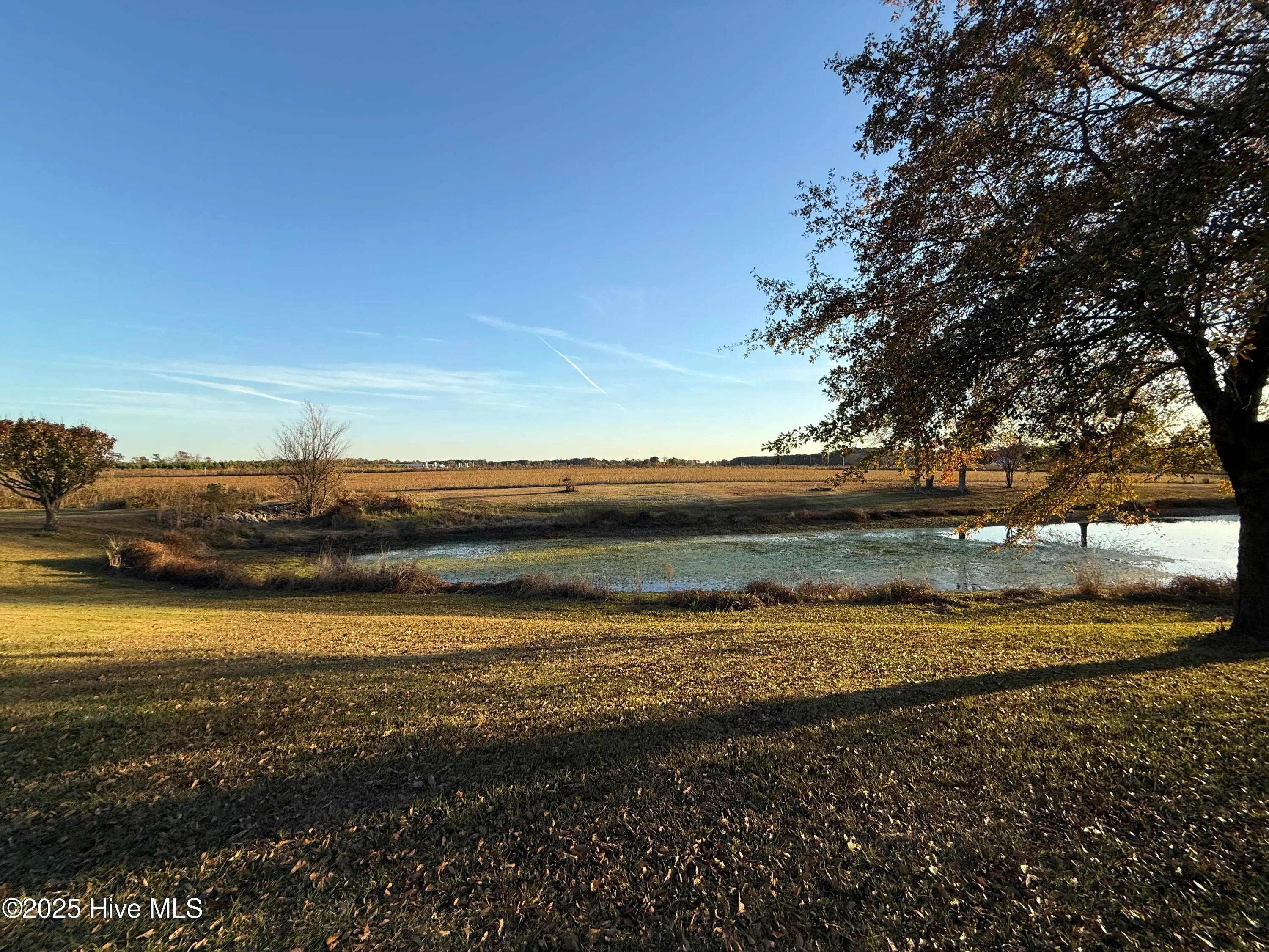 Goldsboro, North Carolina 27534, United States, ,Land,Active,246383