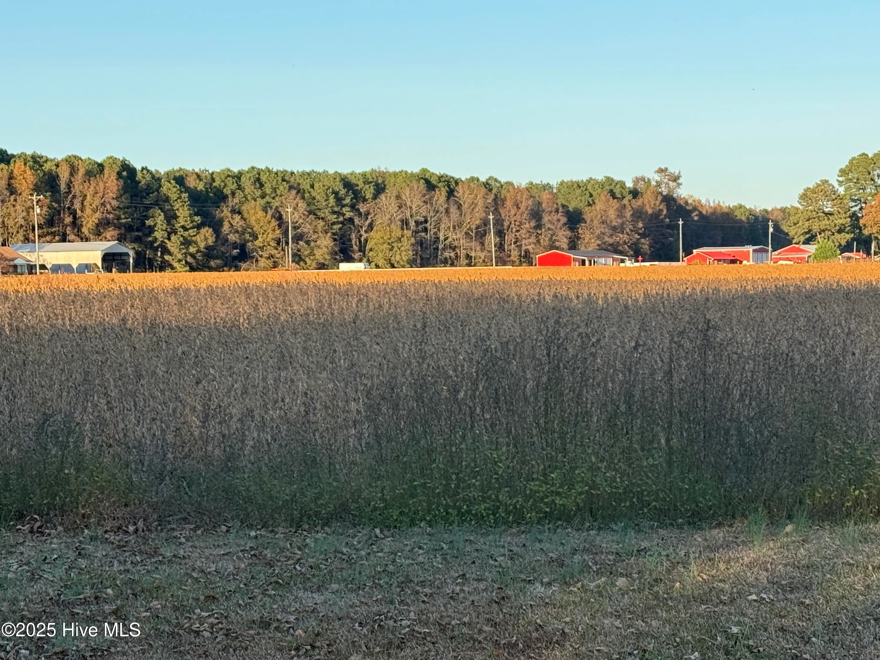 Goldsboro, North Carolina 27534, United States, ,Land,Active,246383