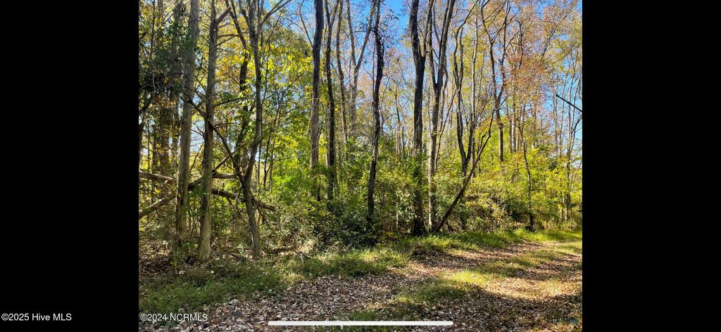 Photo of 0 Sunset Hills Road, Robbins, NC 27325 (MLS # 100537181)