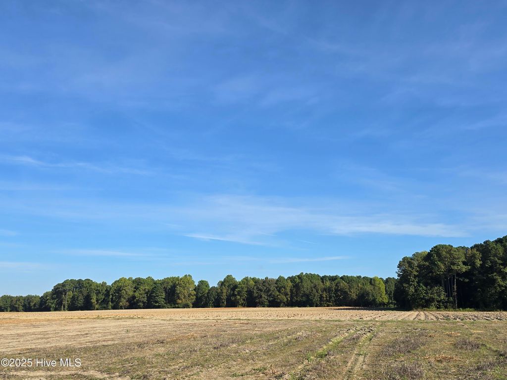 Photo of 7838 Simpson Road, Lucama, NC 27851 (MLS # 100534129)