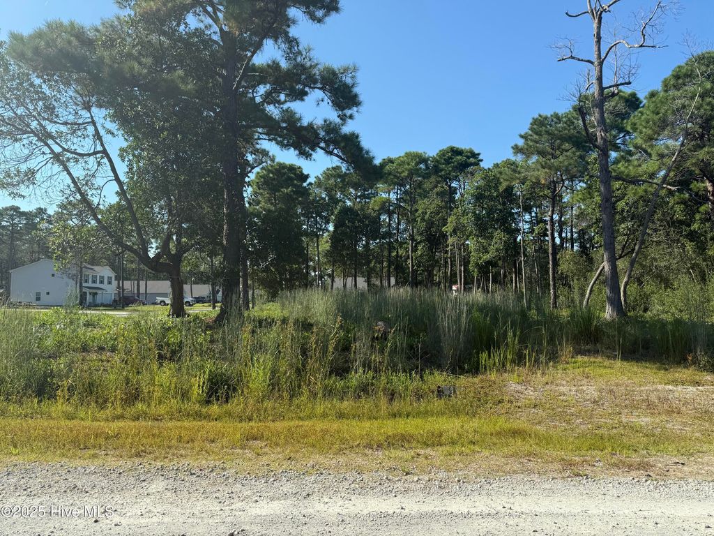 Photo of 101 Catawba Road, Southport, NC 28461 (MLS # 100529338)