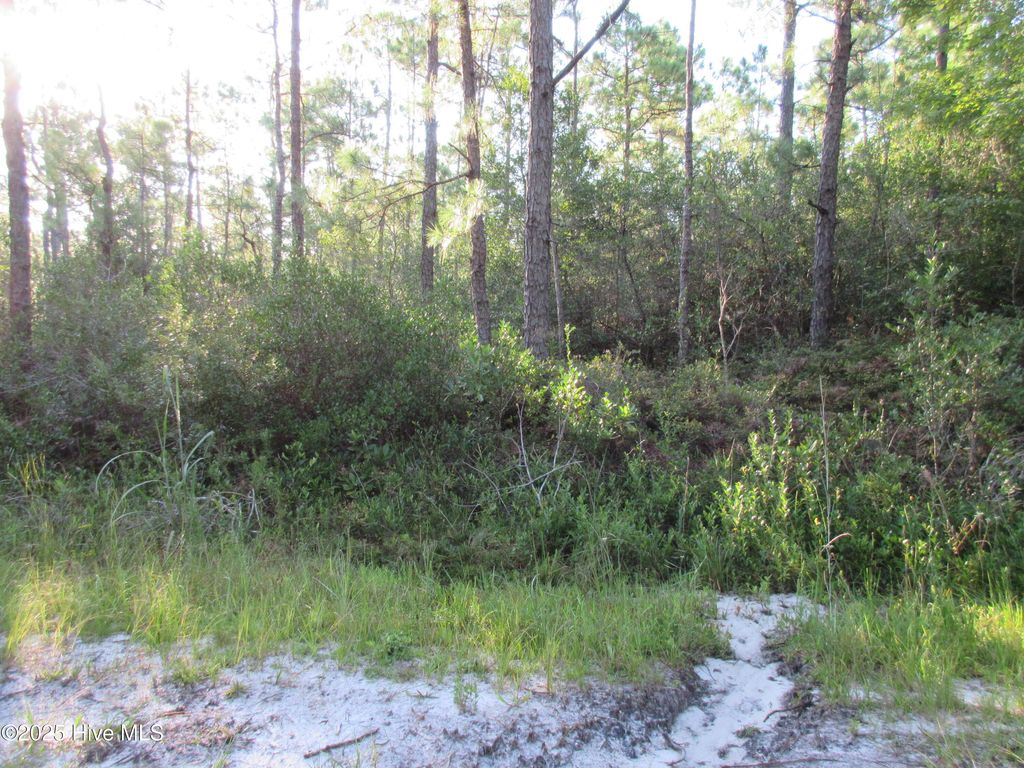 Photo of 1300 Beech Road, Southport, NC 28461 (MLS # 100529054)