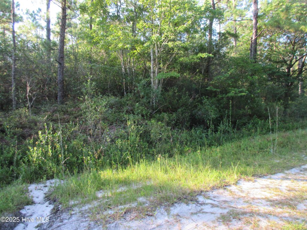 Photo of 1300 Beech Road, Southport, NC 28461 (MLS # 100529054)
