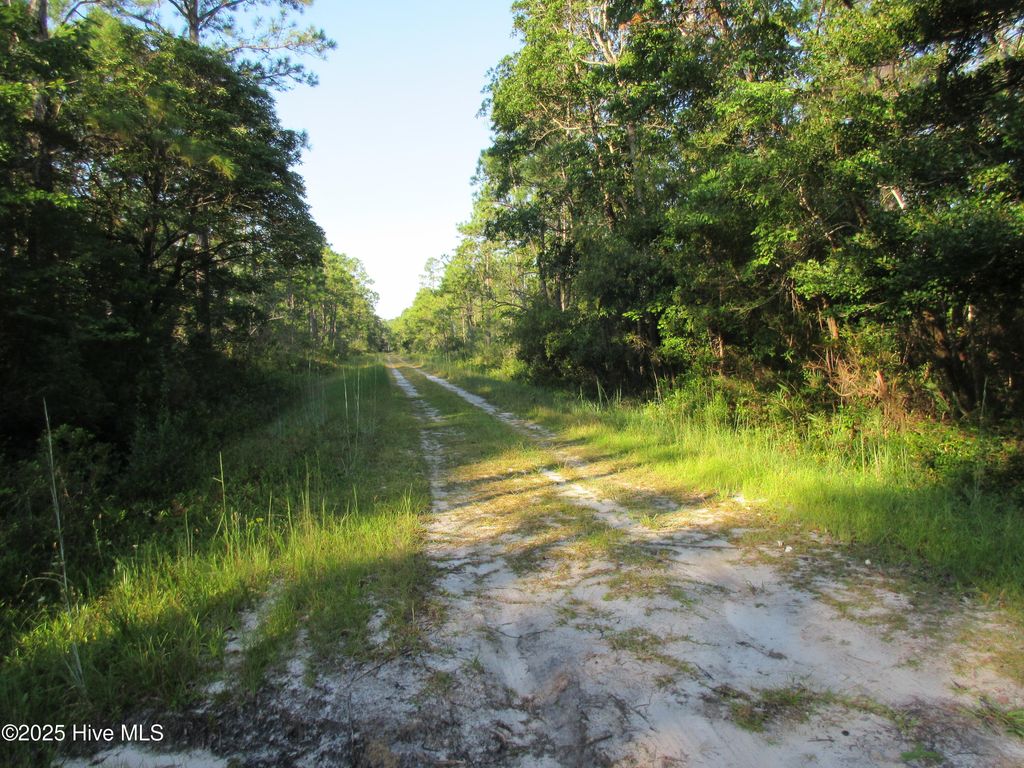 Photo of 1300 Beech Road, Southport, NC 28461 (MLS # 100529054)