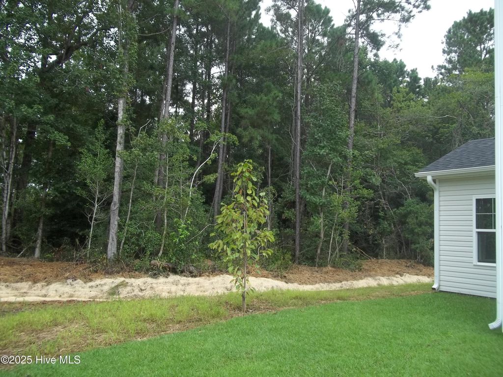 Photo of 181 Portico Court, Hampstead, NC 28443 (MLS # 100515250)