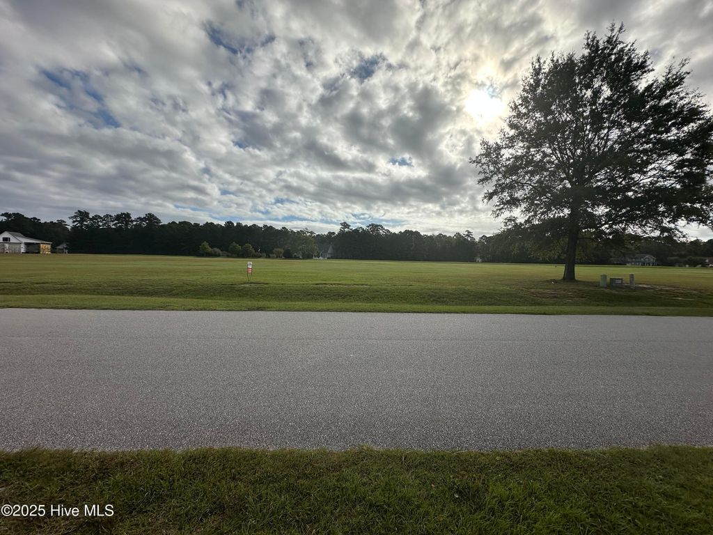 Photo of 210 Long Creek Drive, Havelock, NC 28532 (MLS # 100530398)