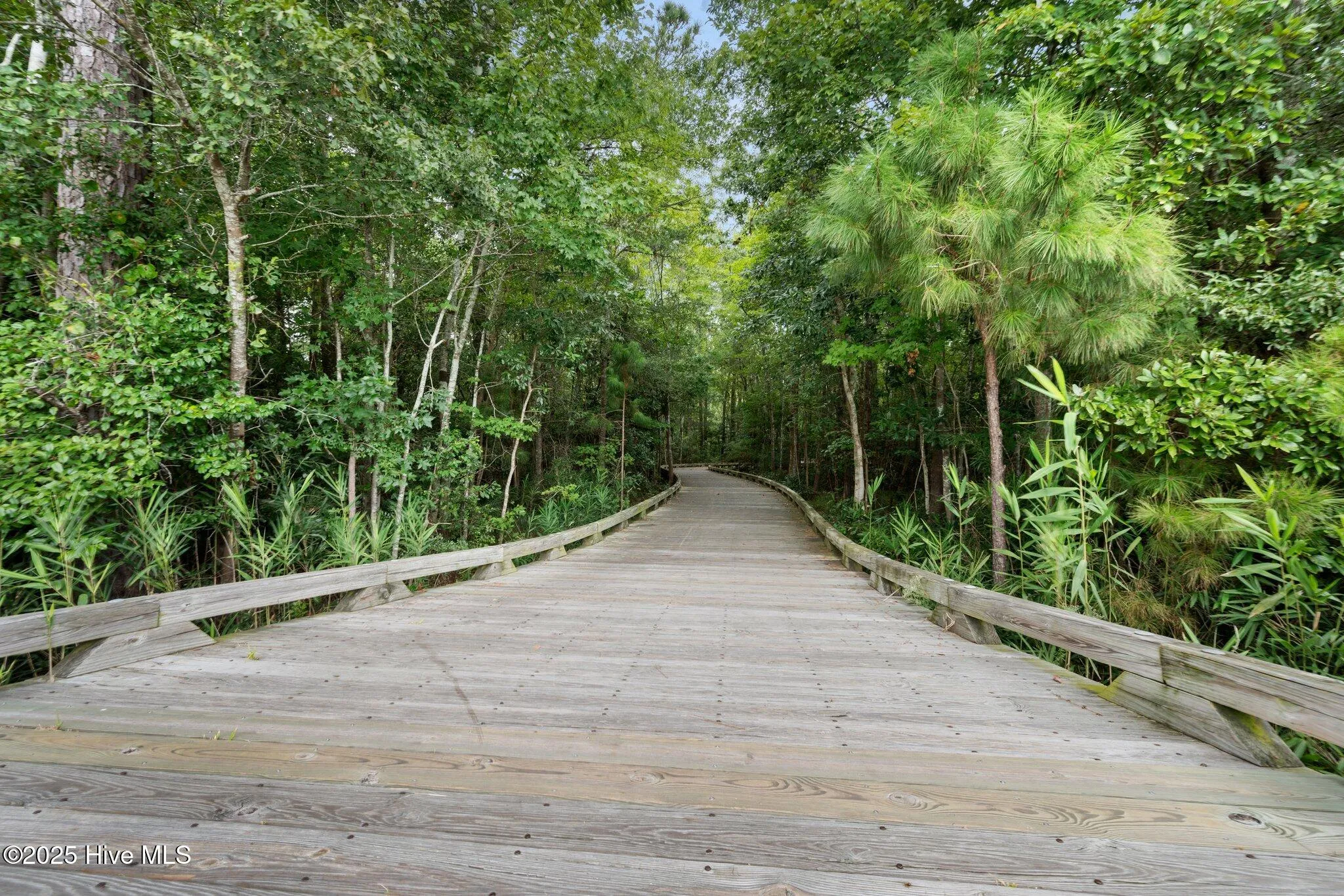 Leland, North Carolina 28451, United States, 3 Bedrooms Bedrooms, ,2 BathroomsBathrooms,Residential,Active,160068