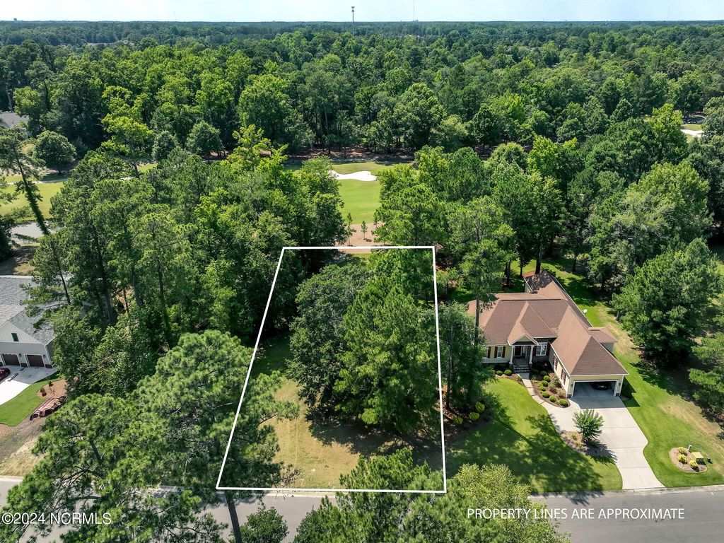 Photo of 228 Sycamore Forest Drive, Wallace, NC 28466 (MLS # 100451812)