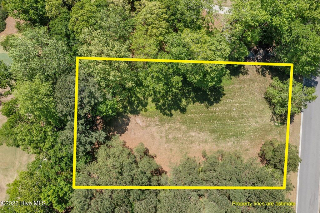 Photo of 108 Firefly Drive, Wallace, NC 28466 (MLS # 100501069)