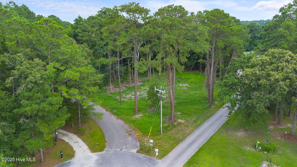 Photo of 202 Gull Pointe, New Bern, NC 28562 (MLS # 100519425)