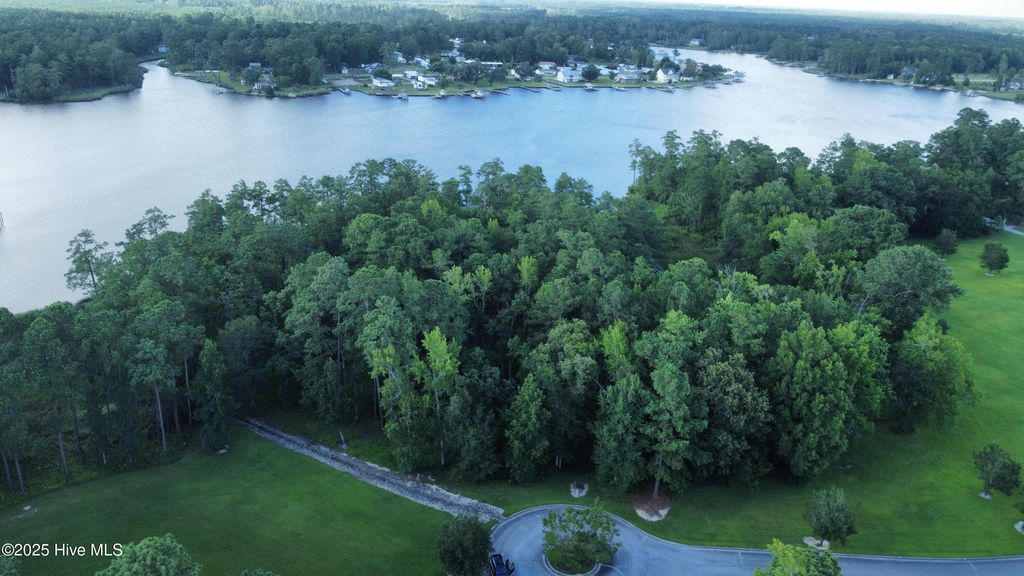 Photo of 162 Sunshine Drive, Arapahoe, NC 28510 (MLS # 100522400)