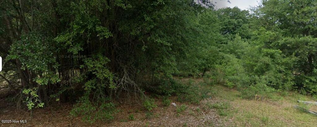 Photo of 00 Patton Street, Hamlet, NC 28345 (MLS # 100541981)