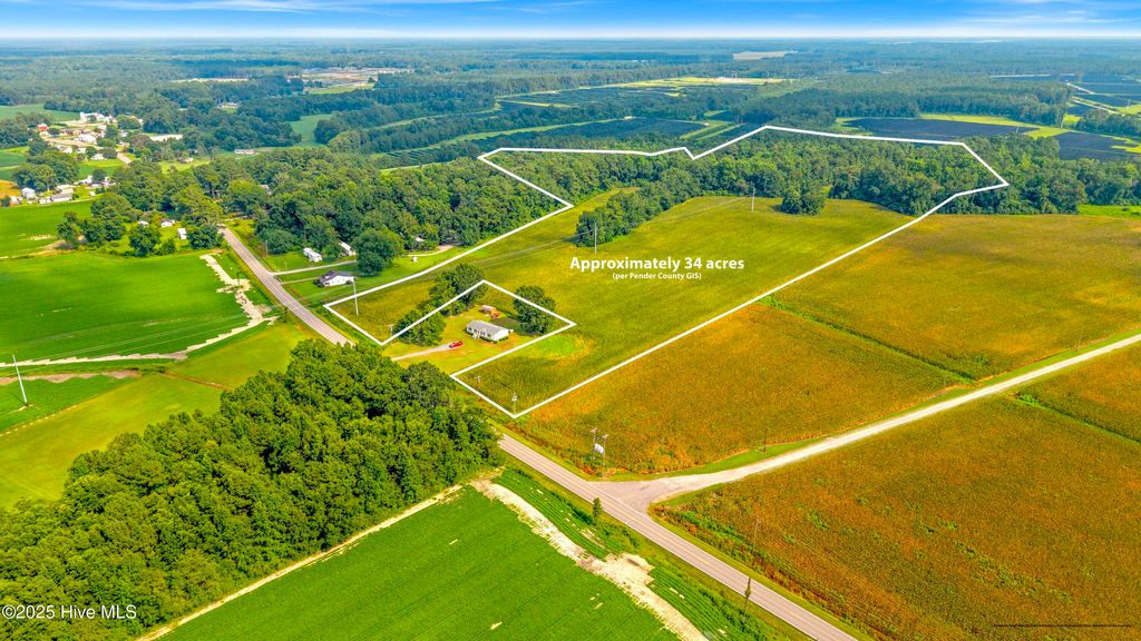 Photo of 8110 Nc 11 Highway, Willard, NC 28478 (MLS # 100523690)