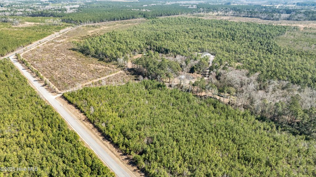 Photo of 4 Brown Heritage Road, Maple Hill, NC 28454 (MLS # 100491245)