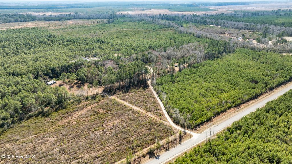 Photo of 4 Brown Heritage Road, Maple Hill, NC 28454 (MLS # 100491245)