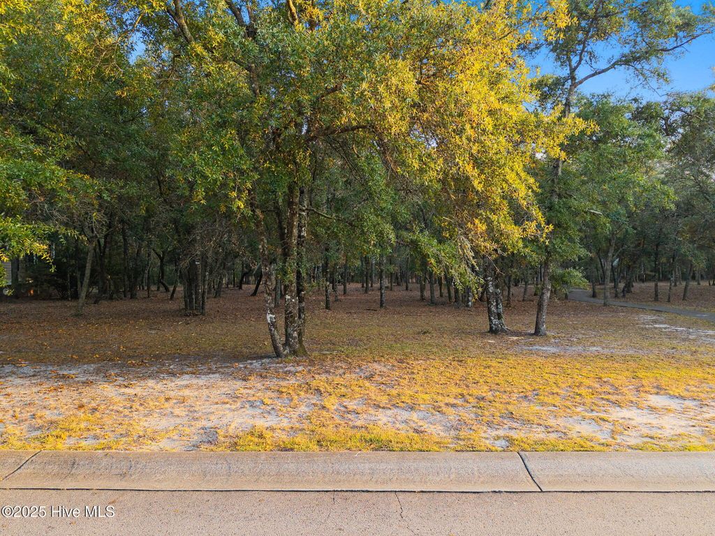 Photo of 615 S Seascape Boulevard SW, Supply, NC 28462 (MLS # 100542705)