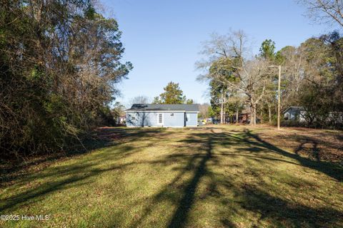 A home in Kenansville