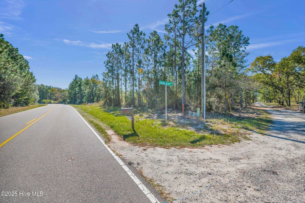 Photo of 0 Zion Hill Road SE, Bolivia, NC 28422 (MLS # 100537982)