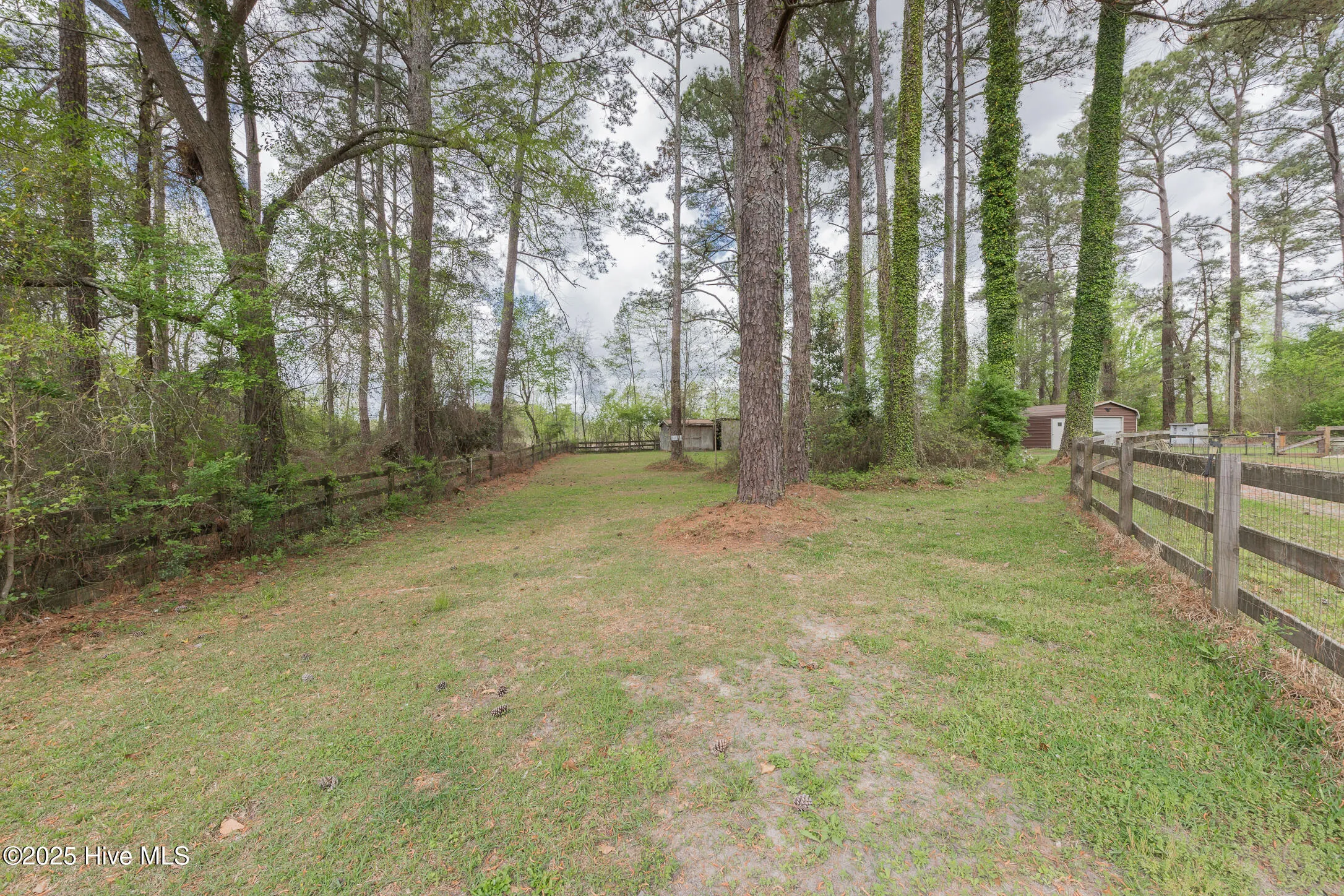 Wallace, North Carolina 28466, United States, 3 Bedrooms Bedrooms, ,2 BathroomsBathrooms,Residential,Active,114397