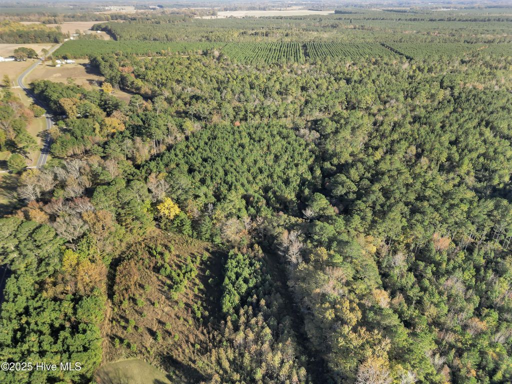 Photo of 00 E Pleasant Hill Road, Pink Hill, NC 28572 (MLS # 100540408)