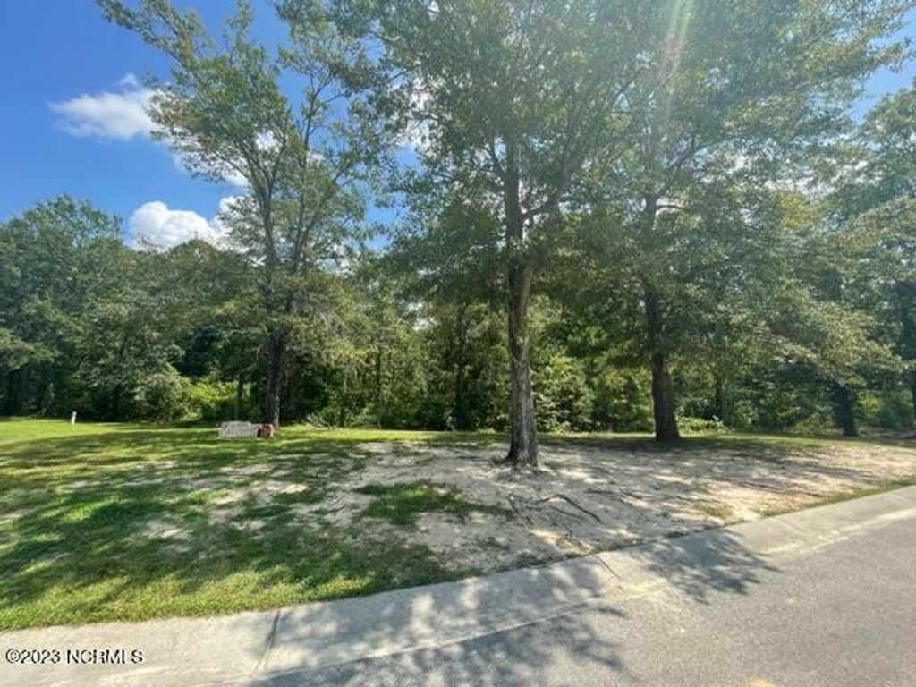 Photo of 3841 Hallmark Road NE, Leland, NC 28451 (MLS # 100399214)