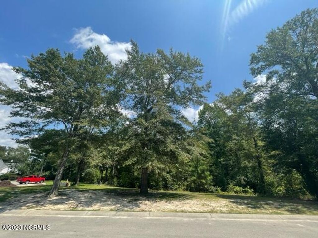 Photo of 3841 Hallmark Road NE, Leland, NC 28451 (MLS # 100399214)