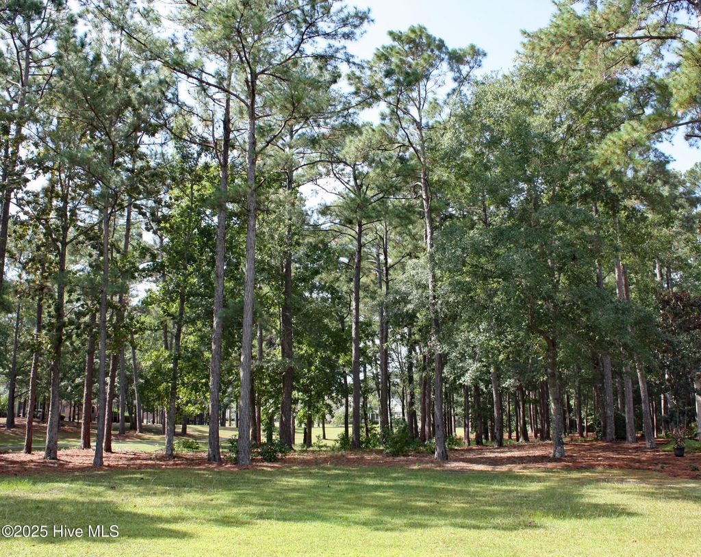 Photo of 513 Cliffside Point SW, Ocean Isle Beach, NC 28469 (MLS # 100533774)