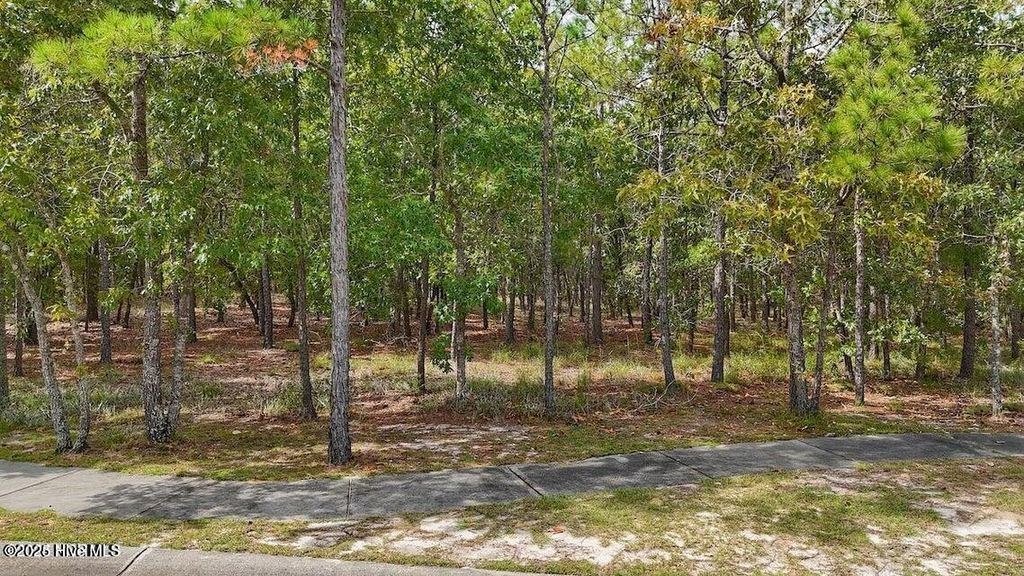 Photo of 2929 Serrano Trail SE, Bolivia, NC 28422 (MLS # 100530592)