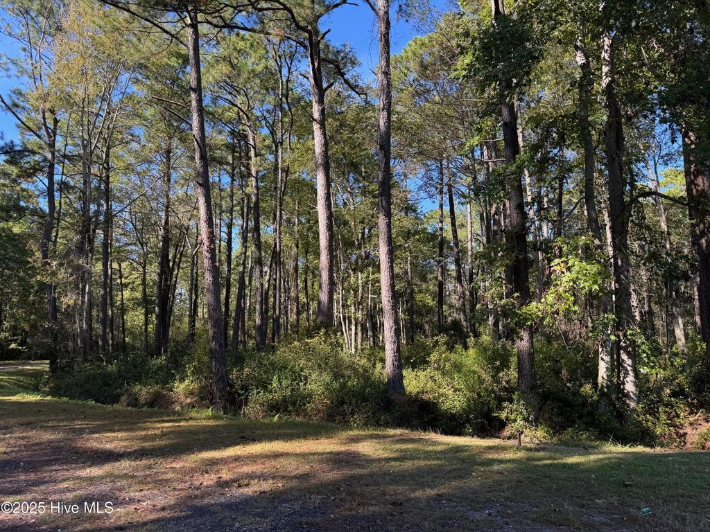 Photo of 11 Ticketwood Drive, Calabash, NC 28467 (MLS # 100537399)