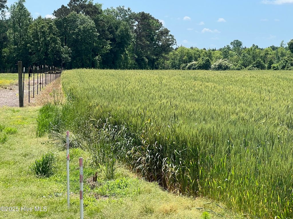 Photo of Tbd Nc-50, Wallace, NC 28466 (MLS # 100506202)