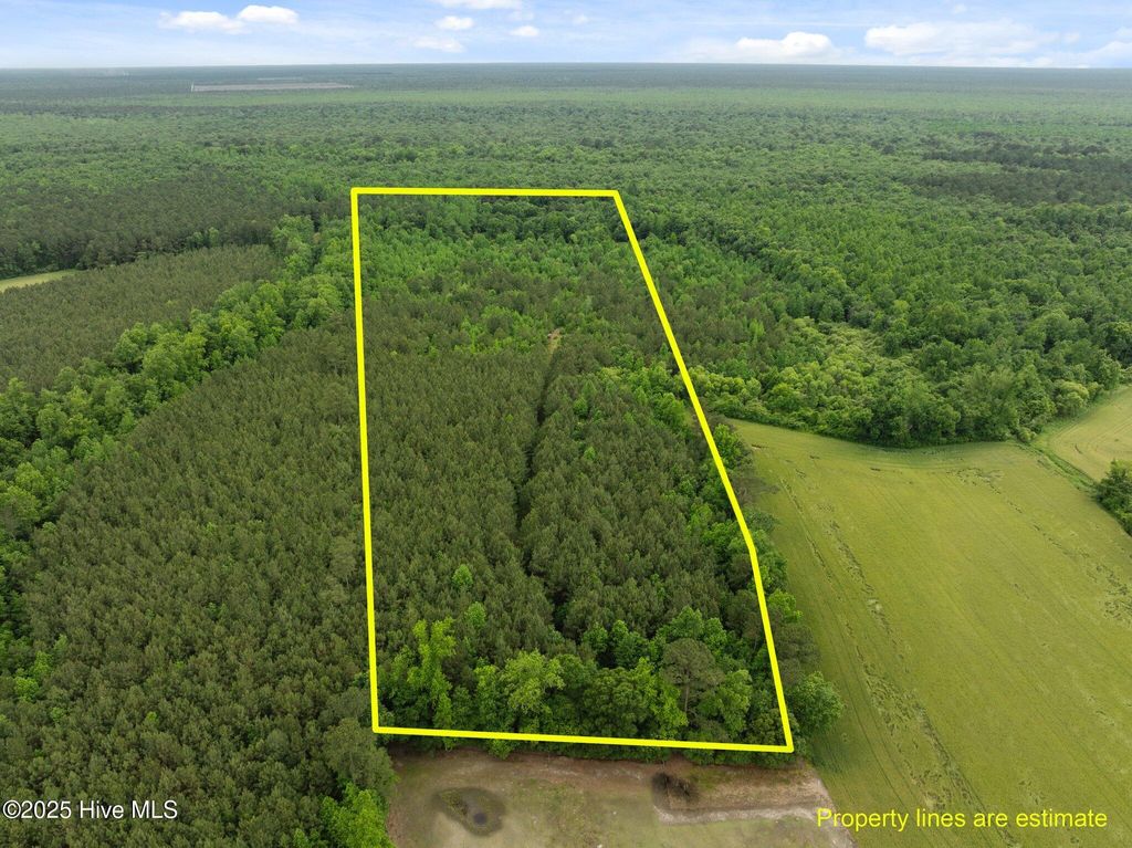 Photo of Tbd Nc-50, Wallace, NC 28466 (MLS # 100506202)