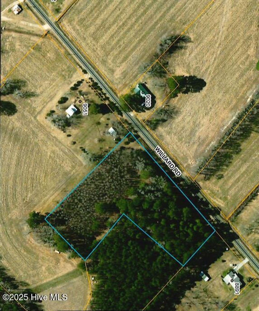 Photo of 2 Willard Road, Willard, NC 28478 (MLS # 100537746)
