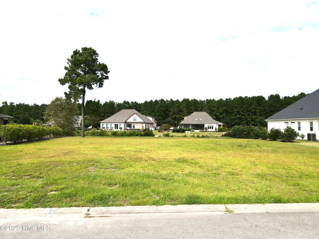 Photo of 1010 Cloudbreak Court, Leland, NC 28451 (MLS # 100529714)
