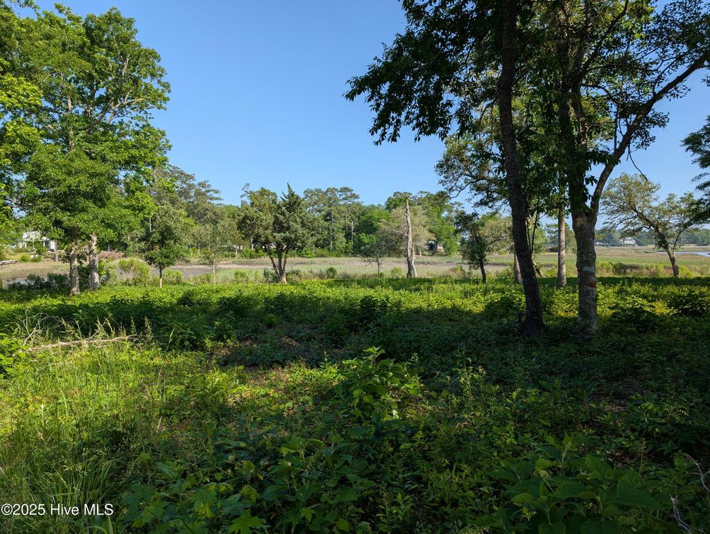 Photo of 1891 Star Cross Drive SW, Shallotte, NC 28470 (MLS # 100507933)