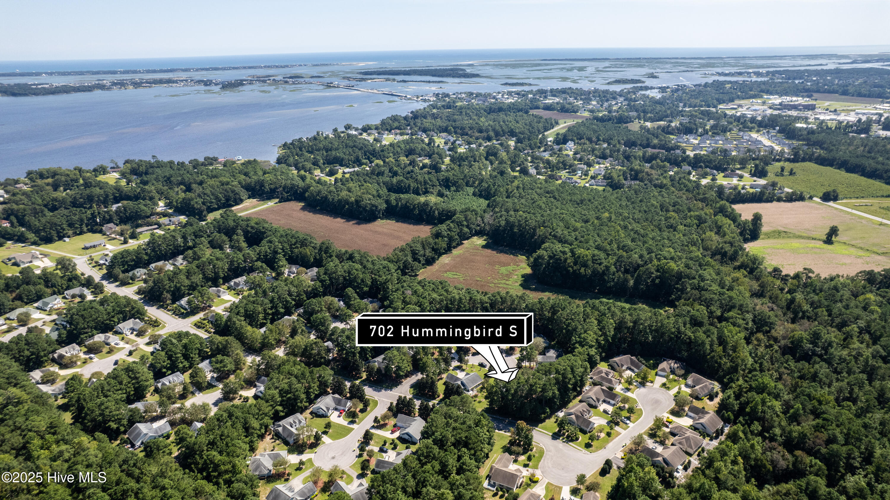 702 Hummingbird S