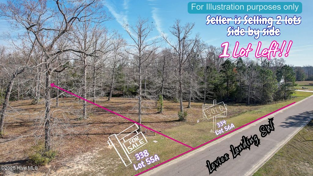 Photo of 338 Levies Landing SW, Supply, NC 28462 (MLS # 100501532)