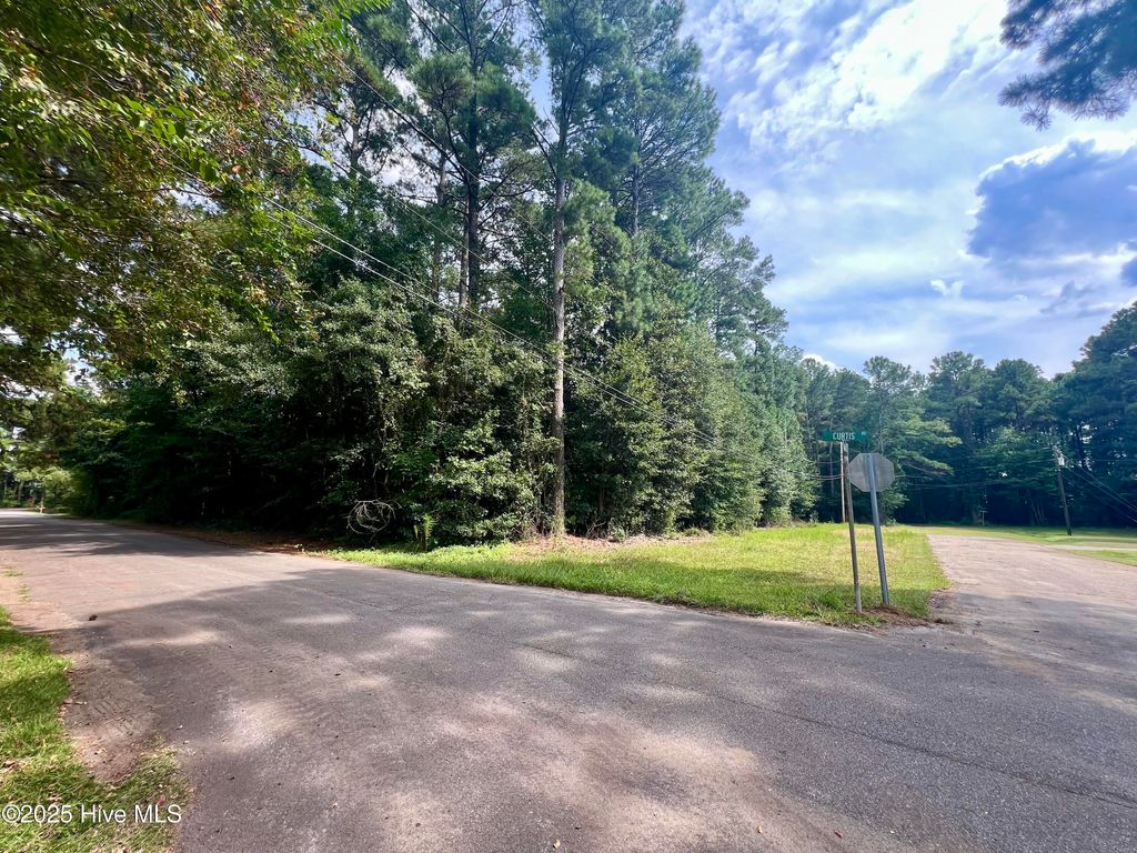 Photo of 6465 Curtis Road, Warsaw, NC 28398 (MLS # 100528977)