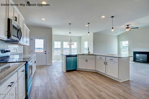 Tiny photo for 120 Molly Rice Branch Court, Jacksonville, NC 28546 (MLS # 100535909)