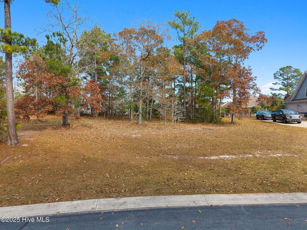 Photo of 1210 St Simons Drive SE, Bolivia, NC 28422 (MLS # 100543252)