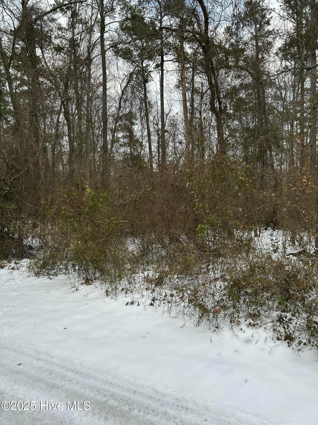 Photo of 18 Riverview Drive, Burgaw, NC 28425 (MLS # 100485381)