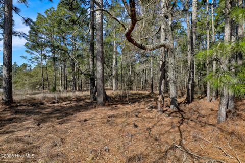 Tiny photo for Tbd Sand Ridge Road, Hubert, NC 28539 (MLS # 100499078)