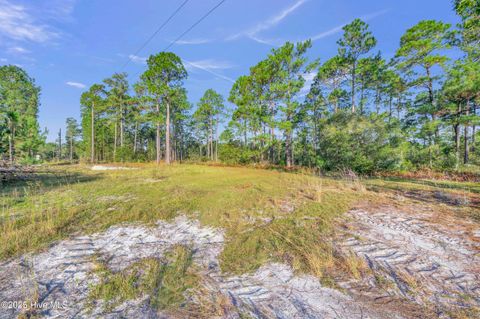 Tiny photo for 432440 Brians Woods Rd L22b And 22c, Maple Hill, NC 28454 (MLS # 100537265)