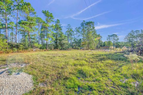 Tiny photo for 432440 Brians Woods Rd L22b And 22c, Maple Hill, NC 28454 (MLS # 100537265)
