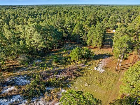 Tiny photo for 432440 Brians Woods Rd L22b And 22c, Maple Hill, NC 28454 (MLS # 100537265)