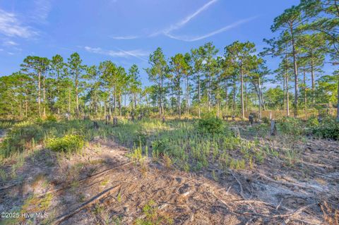 Tiny photo for 432440 Brians Woods Rd L22b And 22c, Maple Hill, NC 28454 (MLS # 100537265)
