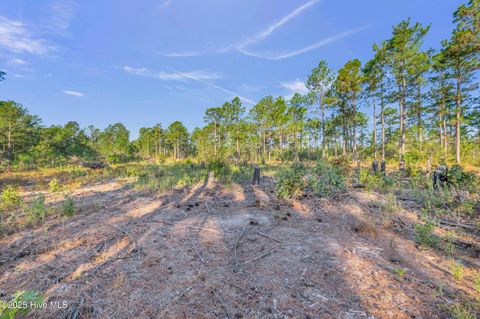 Tiny photo for 432440 Brians Woods Rd L22b And 22c, Maple Hill, NC 28454 (MLS # 100537265)